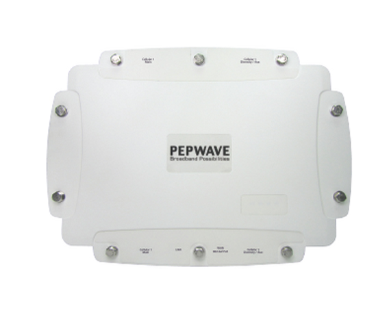 Pepwave Peplink AP Pro Duo 802.11a/n and b/g/n Access Point